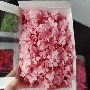 Anna Hydrangea & Rose Fleurs séchées conservées 20g/boîte Matériaux floraux éternels Boîte cadeau en provenance de Chine - Product Image 4