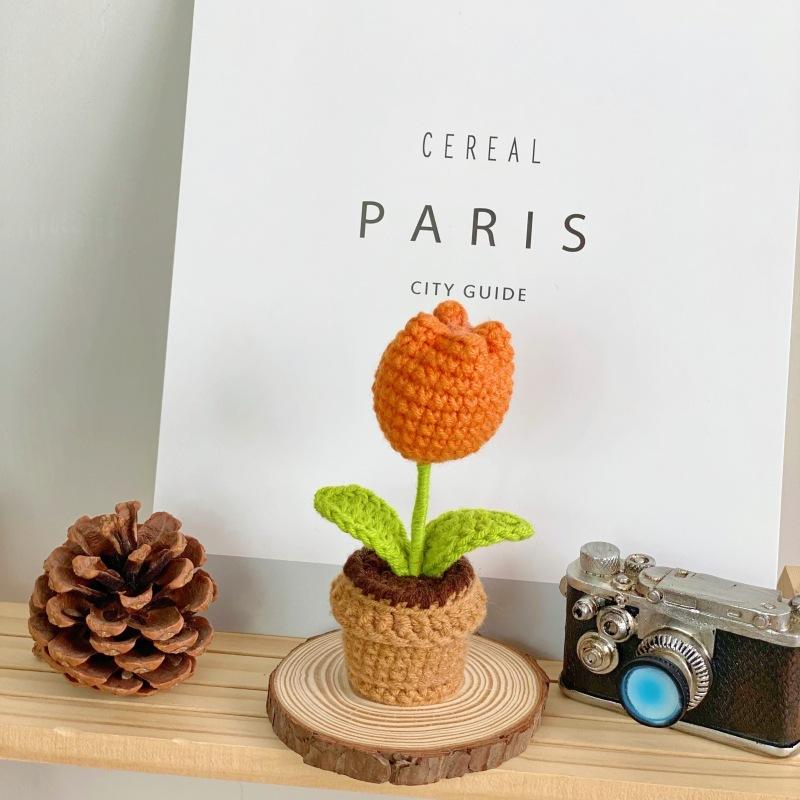 B tulipe orange plante en pot