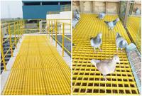 Grilles GRP durables 38x38 pour planchers de colombier, directement du fabricant, tailles personnalisées, matériaux de construction métalliques