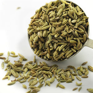 factory supply pure natural fennel seed