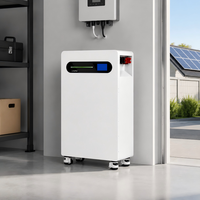 Batterie LiFePO4 16 kWh 51,2 V 314 Ah à grille hybride empilable durable avec interaction intelligente pour stockage et alimentation de secours domestique