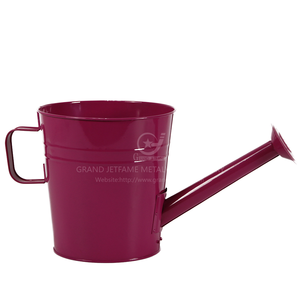 Groothandel Producten 8 Inch Metalen Gieter Plantenbak Met Handvat Voor Binnen/Buiten Plant Decor Voor Tuin Patio Gebruik - Product Image 4