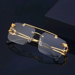 Occhiali da Sole Unisex NYY Best Seller con Montatura Rettangolare Senza Bordi, Doppio Ponte e Testa di Leopardo, Occhiali da Sole Trendy per Uomo - Product Image 4