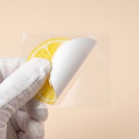 Kit d'autocollants 3D personnalisés à faire soi-même : Brise estivale, plage, limonade et chariot de crème glacée – Autocollants PET anti-stress