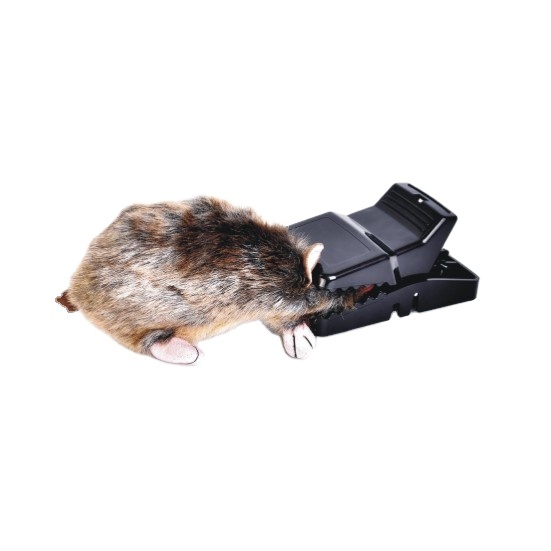Plastic Rodent Bait Station with Key