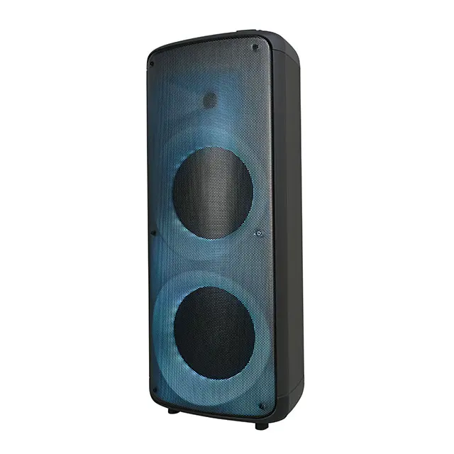 T Kleurrijke Vuurverlichting Bluetooth Neodymium Partij Subwoofer Dual 10 Inch Dj Trolley Draagbare Karaoke Speaker