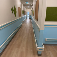 Protección de Paredes, Pasamanos de PVC para Hospitales, Proveedor de Pasamanos para Pasillos de Hospitales
