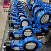Válvula de Aislamiento Industrial Tipo Mariposa con Accionamiento de Engranaje Helicoidal para Proyectos de Suministro de Agua Municipal