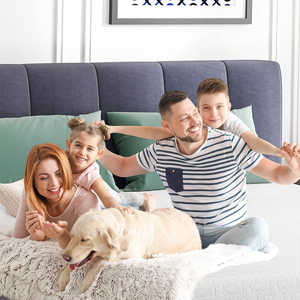 Juego de piezas de plástico para decoración de hogar, accesorio de plástico para decoración de hogar - Product Image 2