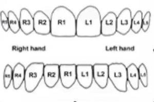 Grillz de Plata de Ley S925 con Moissanita, Diseño de Cruz 'Confía en <span class=keywords><strong>Dios</strong></span>', Joyería Hip Hop Brillante, Grillz Dentales Personalizados - Product Image 4