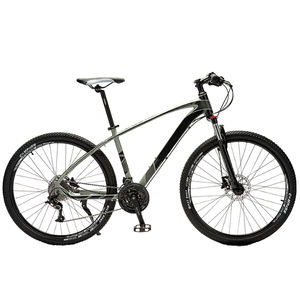 Bicicleta de Montaña de Doble Suspensión para Hombre, 29 Pulgadas, 21/24 Velocidades, en Existencia, Ruedas de 26 Pulgadas, Cuadro de Acero - Product Image 1