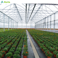 Solution de serre pour tomates SINO : Serre tunnel multi-spans en film plastique PE pour culture hydroponique de légumes agricoles