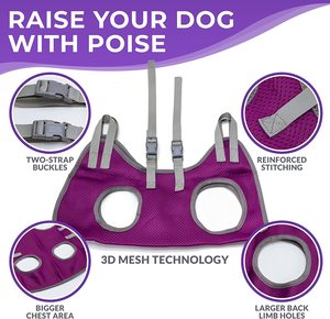 Nibao rede de tosa para cachorros, rede para aliciamento de animais com tiras extra seguras e fortes no centro para cães - Product Image 6