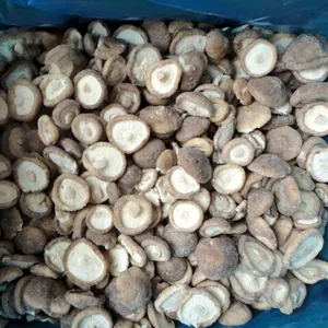 Wholesale IQF Halal Fresh Vegetables No Additives1kg Frozen Shiitake Mushroom Cut