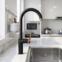Robinet de cuisine moderne noir en laiton à poser sur le plan, style contemporain, pour éviers de cuisine - Vente en gros