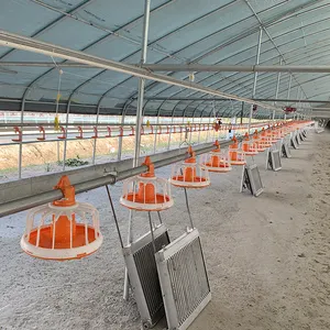 农业自动鸡饮用和喂食线系统养鸡场设备