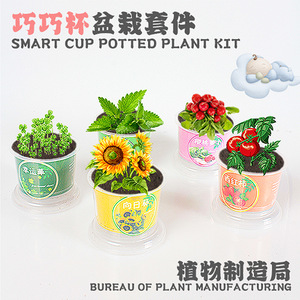 Kit de graines de fraises en mini-pot, ornement de bureau intérieur pour enfants, pour une culture DIY amusante - Product Image 4