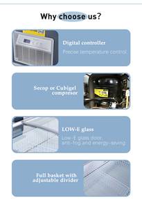 Equipo de refrigeración comercial de temperatura única Congelador de negocios de gran capacidad con escaparate de pantalla media de descongelación automática - Product Image 5