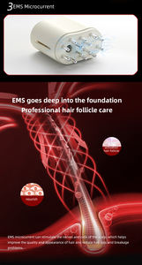 Brosse à huile essentielle atomisée nano, masseur du cuir chevelu à lumière rouge EMS, applicateur d'huile capillaire électrique pour le traitement de la perte de cheveux - Product Image 4