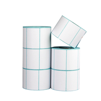 Étiquettes thermiques 4x6 pour imprimante, vente chaude en usine, pour étiquettes d'adresse de livraison, 100x150mm