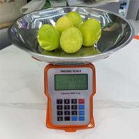 Timbangan Meja Digital Kecil untuk Menghitung Harga, Kapasitas 30kg, Presisi Tinggi 1g, Timbangan Elektronik Akurat