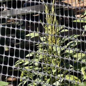 Rouleau <span class=keywords><strong>de</strong></span> clôture <span class=keywords><strong>de</strong></span> jardin carrée en plastique, vert et blanc, barrière temporaire écologique <span class=keywords><strong>pour</strong></span> chiens et chantiers <span class=keywords><strong>de</strong></span> construction - Product Image 5