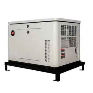 10 kW/12,5 KVA Erdgasgenerator für Kraftwerk LPG Erdgas-Biogasturbine Stromerzeuger für den Heimgebrauch