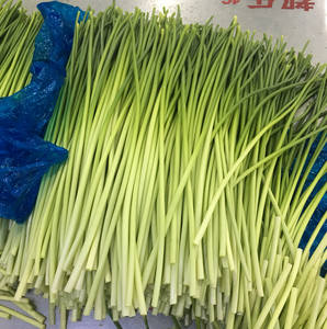 High Quality <strong>Fresh</strong> Organic Green <strong>Garlic</strong> Scapes | China <strong>Fresh</strong> <strong>Garlic</strong> Sprouts Stems for Wholesale | Healthy Vegetable for Stir-fry - Product Image 5