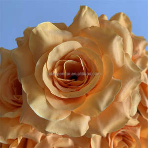 B-513 Flores Artificiales en Oferta, <span class=keywords><strong>Rosas</strong></span> Naranjas, <span class=keywords><strong>Ramo</strong></span> de <span class=keywords><strong>Rosas</strong></span> Artificiales, Flores Decorativas, <span class=keywords><strong>Rosas</strong></span>, Compra al por Mayor, Decoración del Hogar, Flores Falsas - Product Image 6