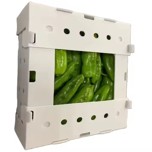 Cajas de Almacenamiento de Plástico Resistentes, Reciclables, Ecológicas e Impermeables para Empacar y Cortar Okra y Espárragos - Product Image 3