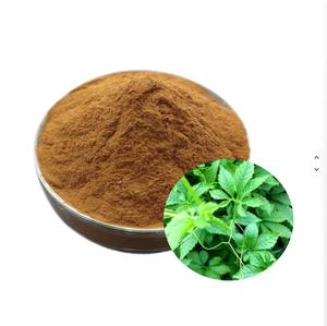 Estratto in Polvere di Saponine Erboristiche di Gynostemma Pentaphyllum 10:1 di Grado Alimentare - Product Image 2