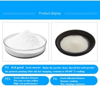 ZTJJ usine vente entière DTF adhésif en poudre DTF blanc thermofusible pour impression par transfert de chaleur DTF T-shirt