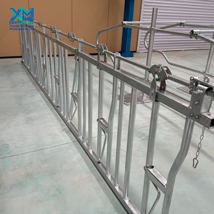 Nouveau système de retenue pour bovins en acier galvanisé à chaud autobloquant pour l'équipement des fermes laitières, facile à installer - Product Image 2