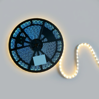Bande LED 12V DC IP67 étanche, découpable, pour lettres en plastique, design zigzag RGBIC, CRI 90 élevé, certifiée CE RoHS, Ws2812b, 50m
