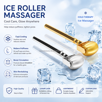 Masseur facial à usage domestique, rouleau de massage portatif pour le visage, compresse de glace pour soins de la peau, masseur de beauté rafraîchissant, rouleau de glace pour spa, outil de soin corporel
