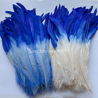 Plumes de queue de coq blanchies et teintes en deux tons en gros pour costumes de carnaval, décoration de fête et artisanat