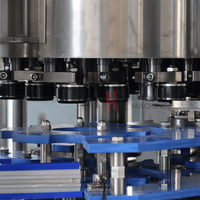 Ligne de production automatique de machines de remplissage et de sertissage de canettes en aluminium pour la bière