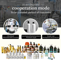 Kit de croissance capillaire botanique personnalisé à marque distributeur : Shampoing et après-shampoing à l'argan et au romarin, traitement nourrissant du cuir chevelu, formule nourrissante, fournisseur exportateur