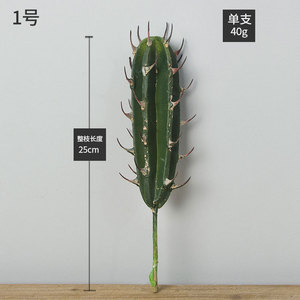 Cây Cảnh Nhân Tạo Nhỏ Nhiều Loại V147, Cây Xương Rồng Trong Chậu Để Trang Trí Nhà Cửa - Product Image 5