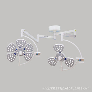 ไฟผ่าตัดแบบพกพา WYD-30 รูปทรงกลีบดอกไม้ 150W ได้รับการรับรองมาตรฐาน CE สำหรับงานทันตกรรม ศัลยกรรมความงาม และตรวจสัตว์เลี้ยง - Product Image 5