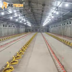 Automatic Broiler Farm Poultry Equipment Plastic Slat Floor Raising System for indonesia chicken farm