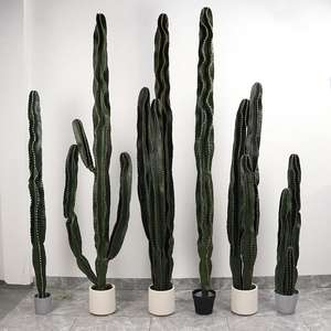 Plante artificielle <span class=keywords><strong>Cactus</strong></span> personnalisé, <span class=keywords><strong>Cactus</strong></span> <span class=keywords><strong>pas</strong></span> <span class=keywords><strong>cher</strong></span>, Fleurs et plantes artificielles réalistes, Petit bonsaï floral de Chine, <span class=keywords><strong>Cactus</strong></span> artificiel - Product Image 2