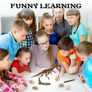 Набор для копания ископаемых для детей, наборы для раскопок яиц динозавров, игрушки, отличный набор для науки о стволах, подарки - Product Image 4