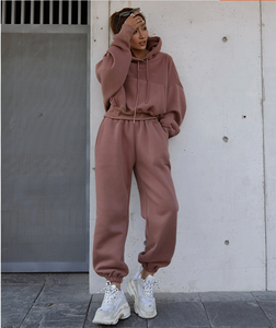 Sweat-shirts à capuche courts pour femmes en coton 100% personnalisés, automne-hiver, surdimensionnés, en molleton, pour le sport, décontractés, en soie, à capuche, courts et longs - Product Image 6