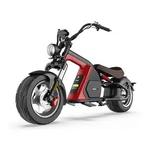 Customized Wholesale 1500w 2000w 3000w 4000w motor 60v citycoco fat tire electric mobility scooter