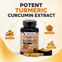 Capsules de Curcuma Antioxydant Naturel pour le Soutien Articulaire, le Métabolisme du Foie et de la Vésicule Biliaire, la Santé Intestinale et la Digestion – Complément Alimentaire
