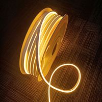 Vente en gros de néons de décoration extérieure Bande Led IP67 220V 110V 12V 24V 6*12 8*16 SMD2835 120leds/m 5m 50m 100 m/rouleau