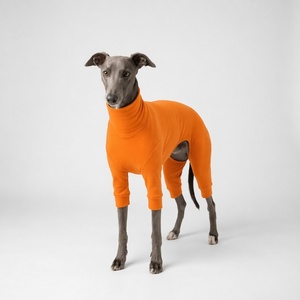 Mono de Invierno para Perro, de Dralon Cálido y Sólido, en Varios Colores, Directo de Fábrica, de Cuatro Patas, Elástico, para <span class=keywords><strong>Galgo</strong></span> <span class=keywords><strong>Italiano</strong></span> - Product Image 4