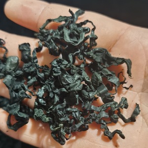 Оптовая продажа сушеных водорослей лавер (Undaria Pinnatifida), спирулины, морских грибов в мешках из Китая - Product Image 2