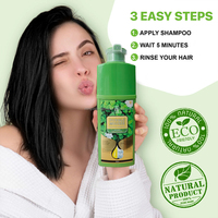 Natürliche Inhaltsstoffe Herbal Bubble Mousse Shampoo Haar färbemittel Nicht allergie Profession elle Haarfarbe für graue Abdeckung